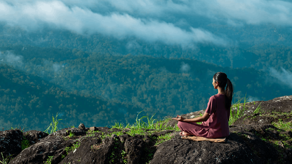 lemontfort resort images