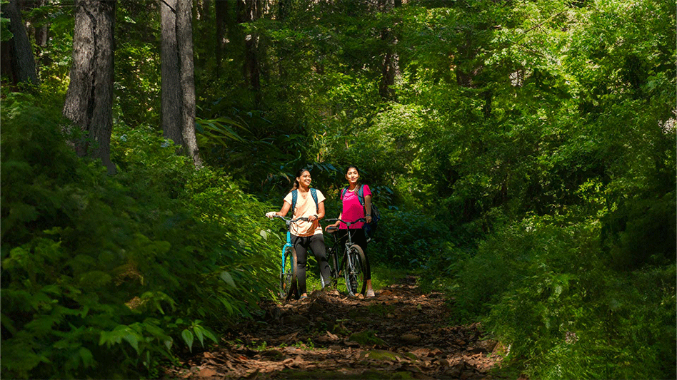 lemontfort resort images