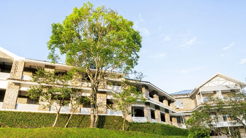 lemontfort resort images