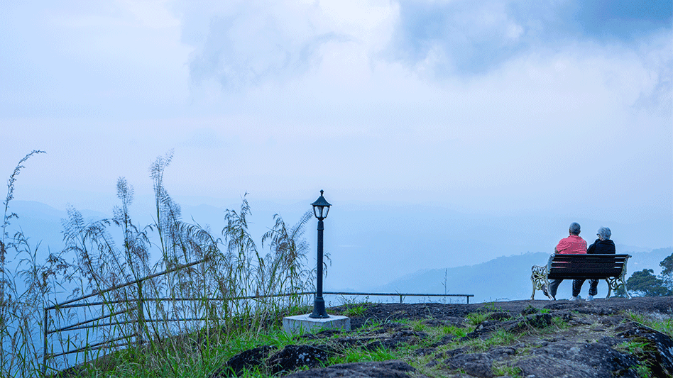 lemontfort resort images