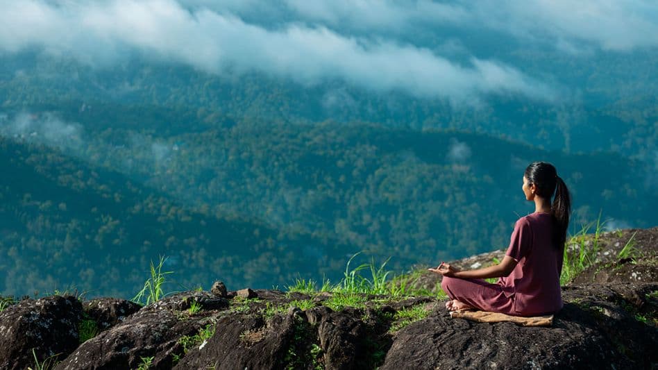 lemontfort resort images